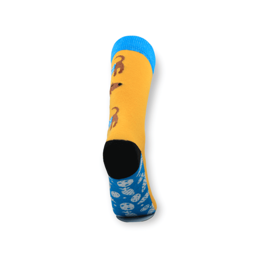 A pair of unisex sausage dog design cotton socks laid flat